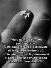 37123214_1918916871739285_3001976204812091392_n