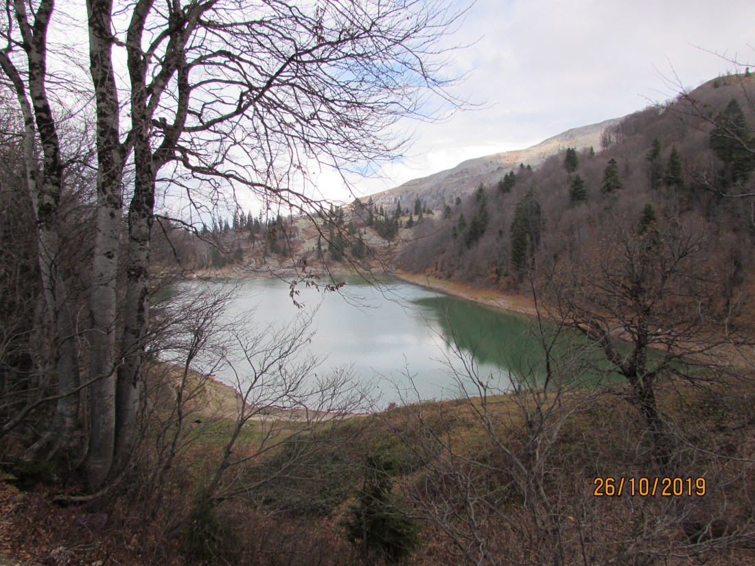 657D97B5-7667-469D-8FA8-0A54A67BE946