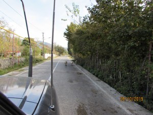 D1E5C34A-BDB8-471D-AEAD-9E6F6E650865