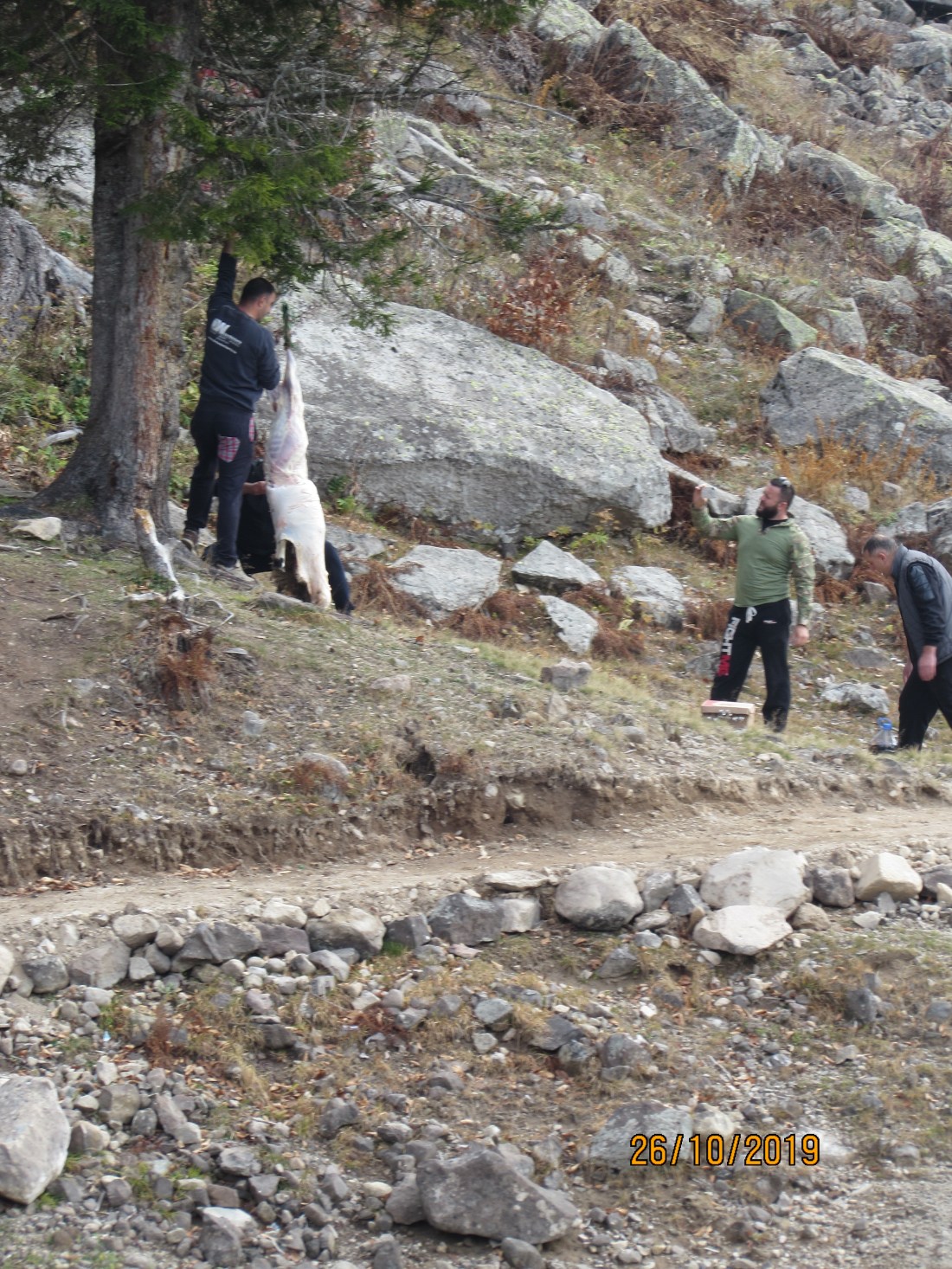 FC7BFC94-68A3-4596-9D7B-3CA0930812C5