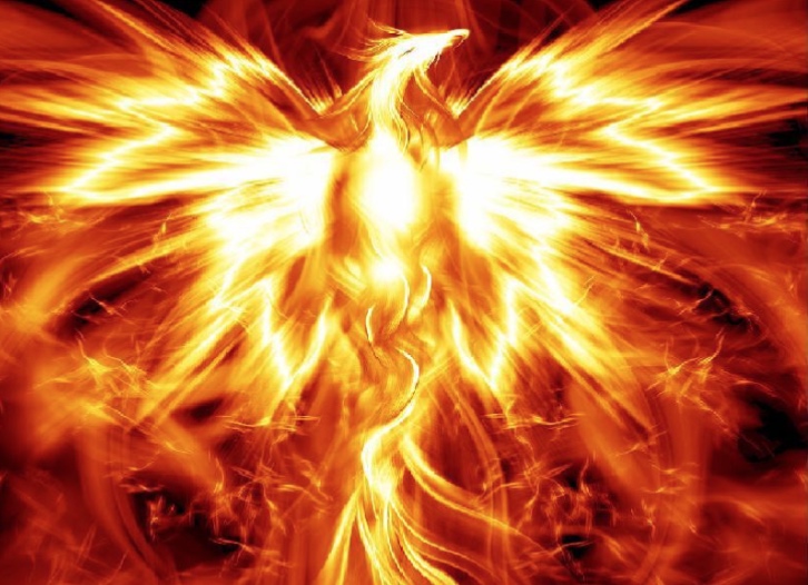 014DF536-EE4D-4EA0-BCF7-25DD6964DD6D